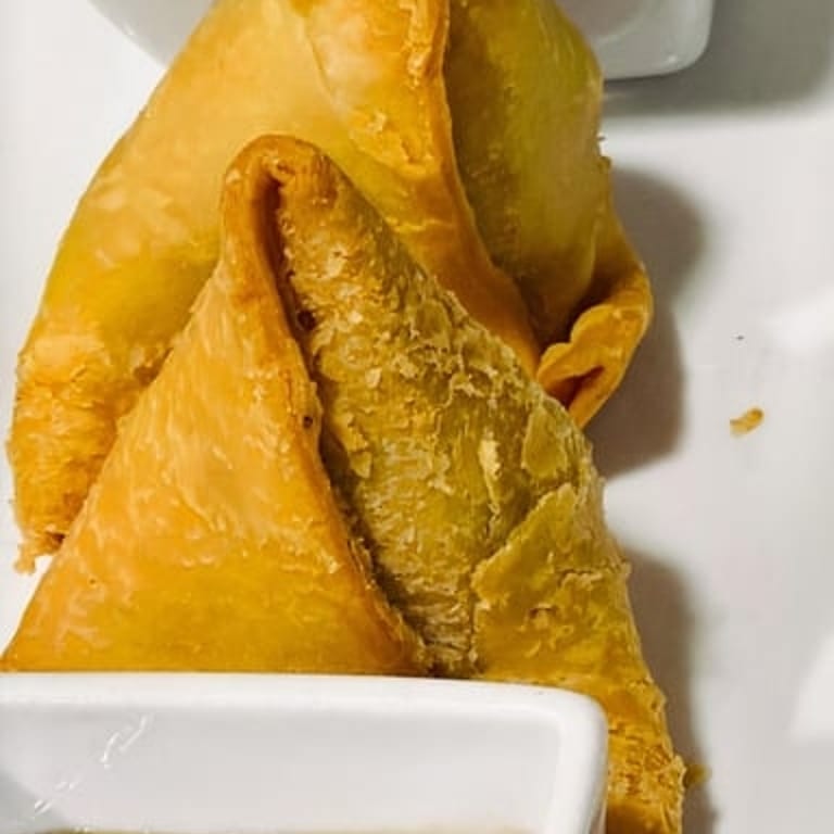 Samosa Delights
